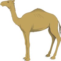 CAMEL.CMX