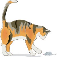 CALICO_C.CMX