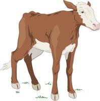 CALF.CMX