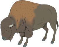 BUFFALO.CMX