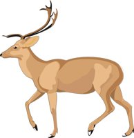BUCK.CMX