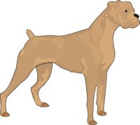 BOXER_C.CMX