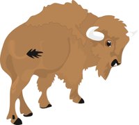 BISON.CMX