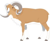 BIGHORN.CMX