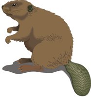BEAVER.CMX