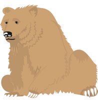 BEAR1.CMX
