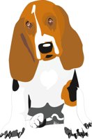 BASSET_H.CMX