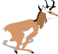 ANTELOPE.CMX