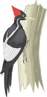 WOODPECK.CMX