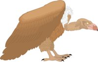 VULTURE.CMX