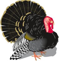 TURKEYT.CMX