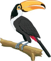 TOUCAN.CMX