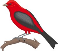 TANAGER.CMX