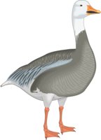 S_GOOSE.CMX