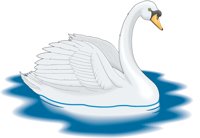 SWANT.CMX