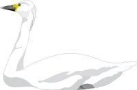 SWAN.CMX