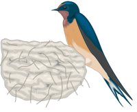 SWALLOW.CMX