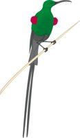 SUNBIRDT.CMX