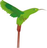 SUNBIRD.CMX