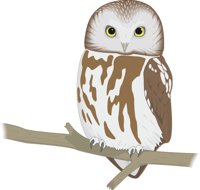 SAW_OWL.CMX