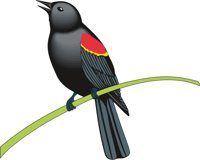 RED_WING.CMX