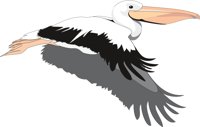 PELICAN3.CMX