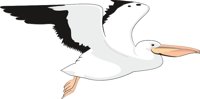 PELICAN2.CMX