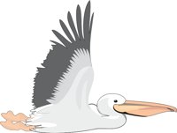 PELICAN1.CMX