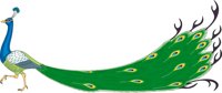PEACOCK.CMX