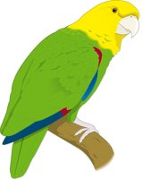 PARROTT.CMX