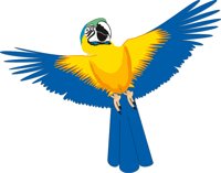 PARROT3.CMX