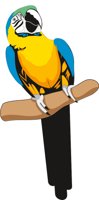 PARROT2.CMX