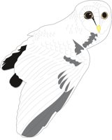 OWL1.CMX