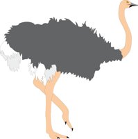 OSTRICH.CMX