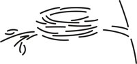NEST_I.CMX