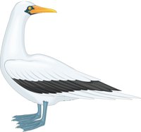 M_BOOBY.CMX
