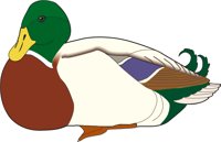 MALLARD.CMX