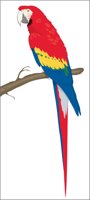 MACAW.CMX