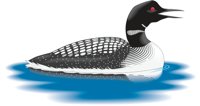 LOON.CMX