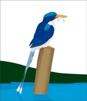 KINGFISH.CMX