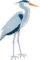 G_HERON.CMX