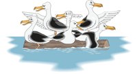 GULLS.CMX