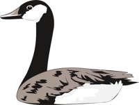 GOOSECSW.CMX