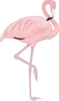 FLAMINGO.CMX