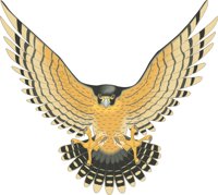 FALCON.CMX