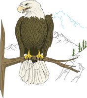 EAGLEPER.CMX