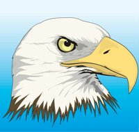 EAGLEHEA.CMX