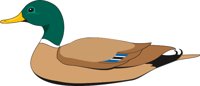 DUCKC.CMX