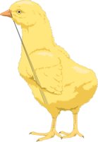 CHICKT.CMX