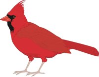 CARDINAL.CMX